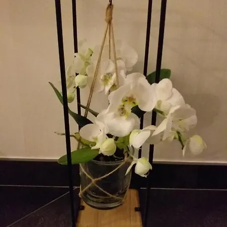 Le Ptit De L'abbaye Et Prive * Lonlay-l'Abbaye